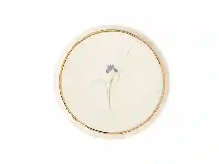 Resim Porland Botanical Desen Düz Tabak 21Cm 04Alm005044