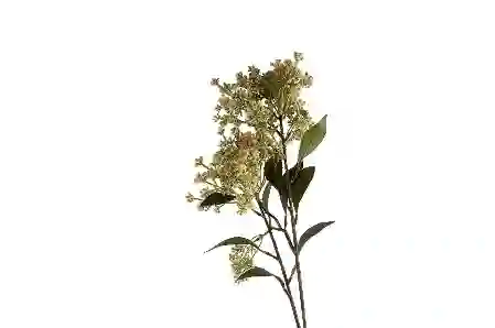 Resim Mikasa Moor Cipso Krem Sarı Yapay Çiçek 83cm