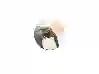 Resim Porland Wild Life Elephant Bardak Altlığı 10Cm 04Alm006626
