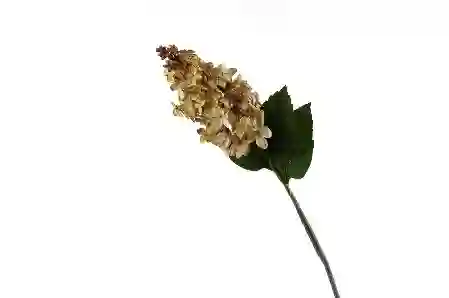 Resim Leylak Krem Yapay Çiçek 76cm