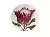 Resim Porland Afrıca D4 Kase 366826 Alm