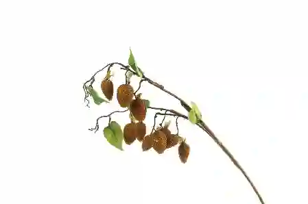 Resim Mikasa Moor Raspberry Yapay Dek Dal 85cm