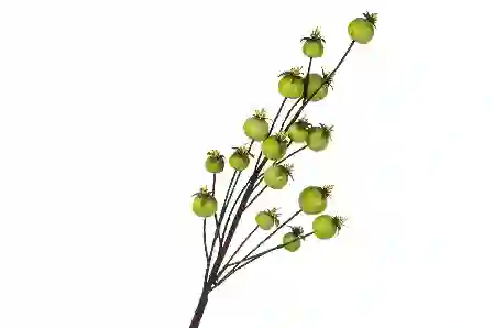 Resim Mikasa Moor Yeşil Yapay Haşhaş Çiçeği 78Cm