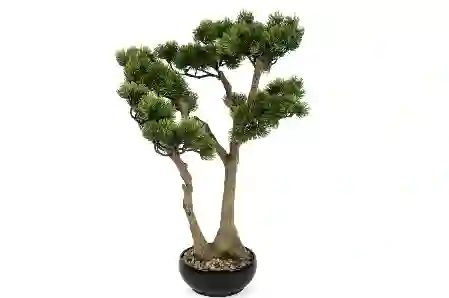 Resim Mikasa Moor Uzun Çam Ağacı Yapay Bonzai Ağacı 41X54Cm