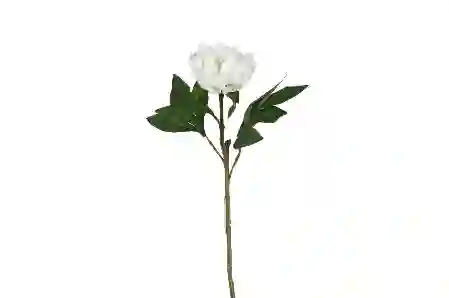 Resim Beyaz Yapay Şakayık 58cm