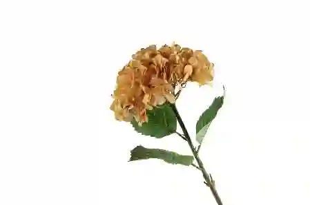 Resim Mikasa Moor Ortanca Turuncu Yapay Çiçek 70cm