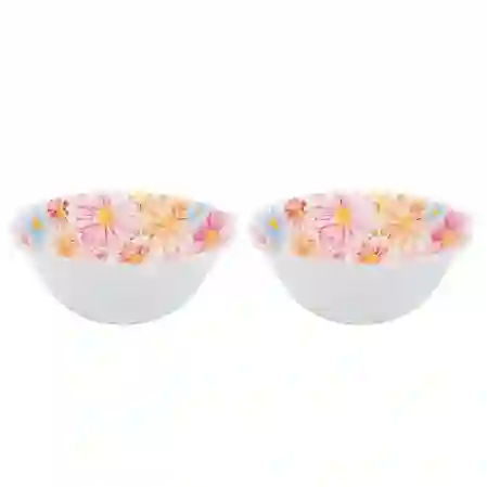 Resim Florısta  Melamın 18Cm 2Lı Salata Kase Seti