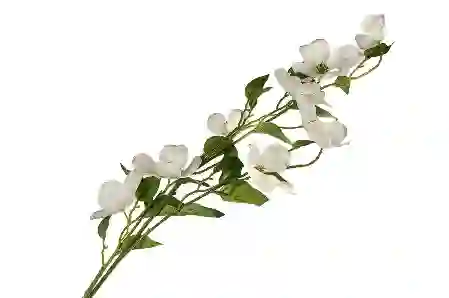 Resim Pembe Beyaz Bahar Çiçeği Yapay Çiçek 100cm