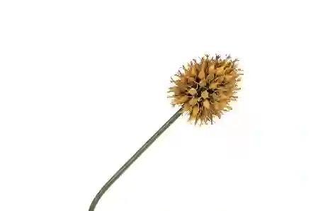 Resim Turuncu Yapay Soğan Çiçeği 68cm