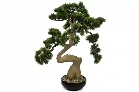 Resim Mikasa Moor Kıvrımlı Pine Tree Yapay Bonsai Ağacı 56X64Cm