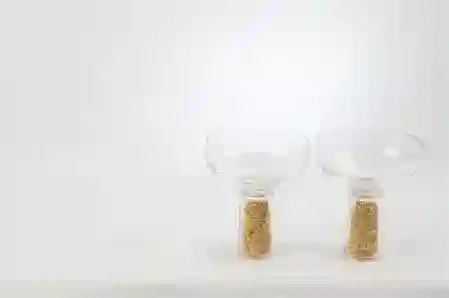 Resim Mikasa Moor Gold Simli 4'lü Cam Dondurmalık