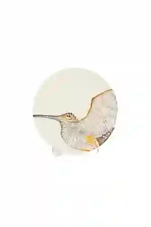 Resim Amorf Turuncu Seramik Tabak 22cm