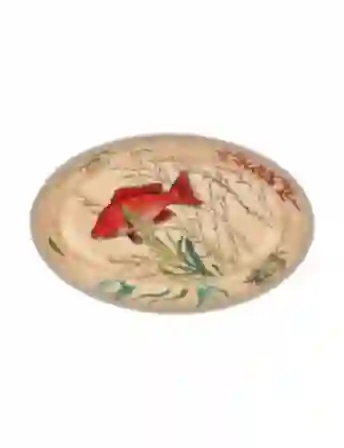 Resim Sea Lıfe Oval Tabak 24X15 Cm